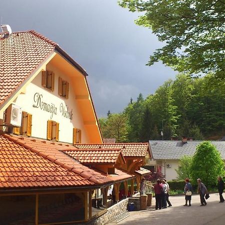 Domacija Vodnik & Apartments Церклье-на-Гореньскем Экстерьер фото