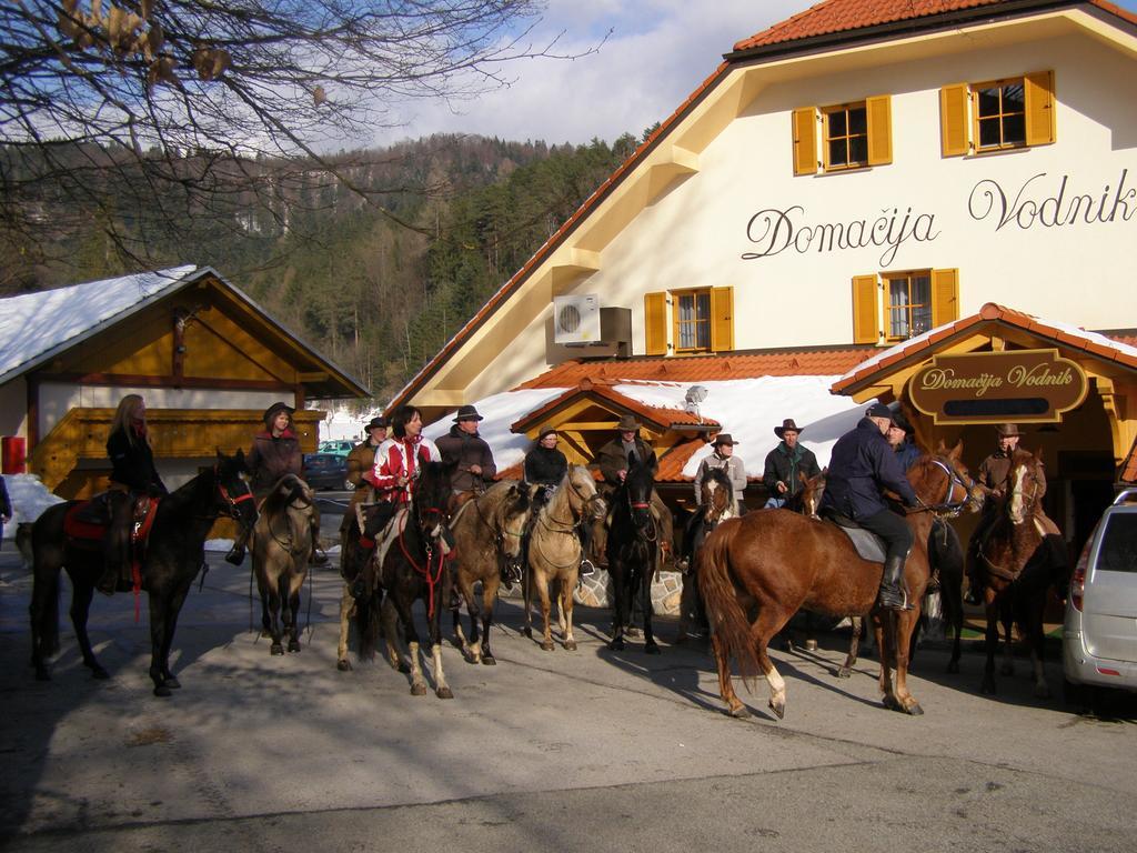 Domacija Vodnik & Apartments Церклье-на-Гореньскем Экстерьер фото